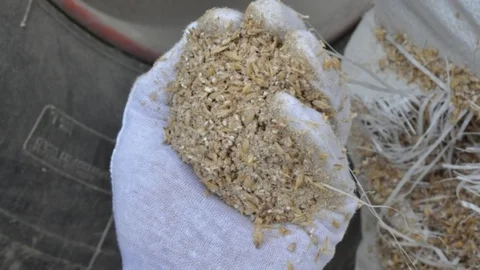 Mersin'den Irak'a Yanlış Yükleme Skandalı