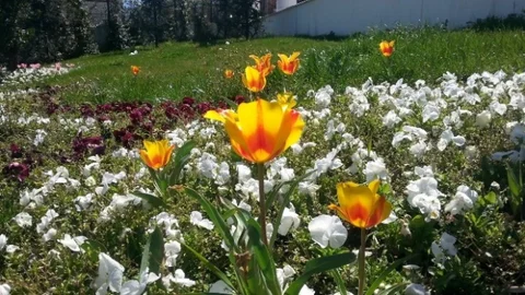 Bursa'da Güneşli Hava Vatandaşları Parklara Çekti