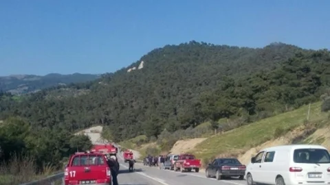 Aydın'da Orman Yangını Paniği