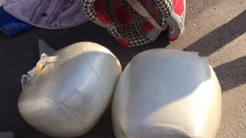 Uşak'ta Esrar Operasyonu Gerçekleşti