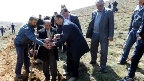 Hüyük'te 3 Bin Fidan Dikildi