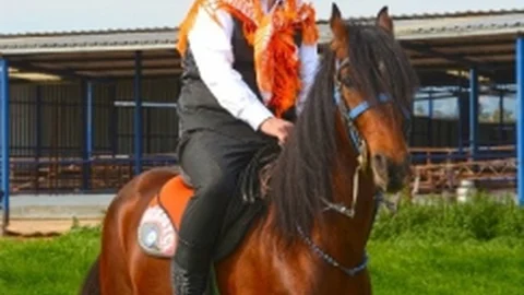 İzmir Torbalı'da Rahvan At Yarışları Heyecanı