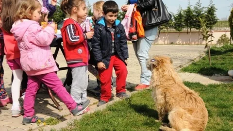 Minik Öğrenciler Hayvanlarla Tanıştı
