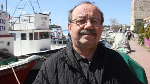 Sinop'ta Yunus Ölümleri Azalacak