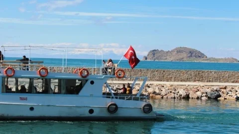 Akdamar Adası'ndaki Tavşanlar Tahliye Ediliyor