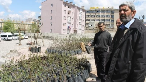 Siirt'te Fidan Satışıyla Geçiniyor