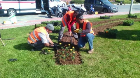 Alanya'da Çiçek Dikimi Başladı