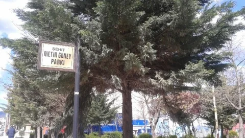 Orhangazi'de Park Düzenlemeleri Başladı