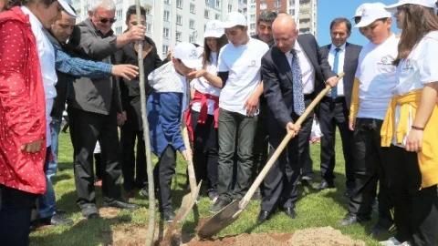 Kocasinan'da 70 Bin Fidan Dikecekler