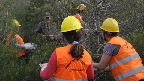 Eceabat'ta Doğa İçin Mücadele