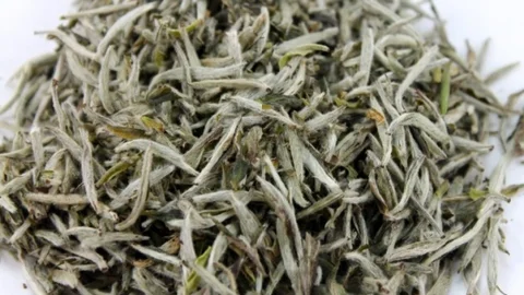 Beyaz Çayın Kanserle Mücadele Etkisi