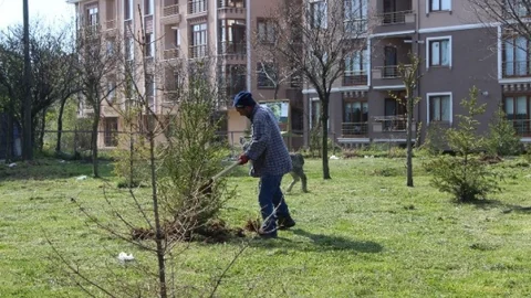 Akçakoca Belediyesi Çevre Düzenlemesi Yapıyor