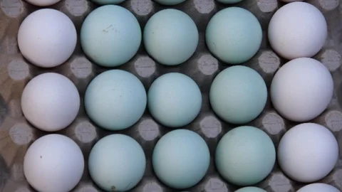 Bursa'da Mavi Yumurta İcadı