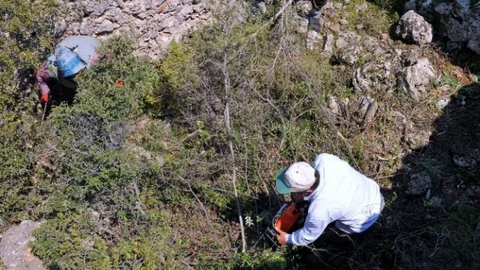 Kepez'de Arkeopark Çalışmaları