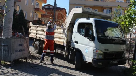 İzmit'te Ağaç Dalları Toplanıyor