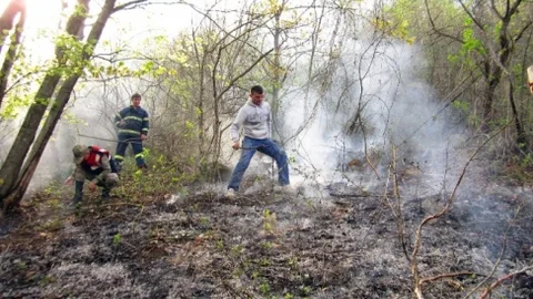 Ordu'da Orman Yangını Oldu