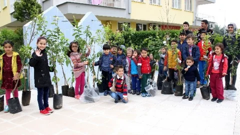 Antalya'da Ağaç Sevgisi Etkinliği