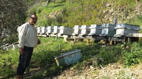 Burhaniye'de Örnek Arıcılık Faaliyeti