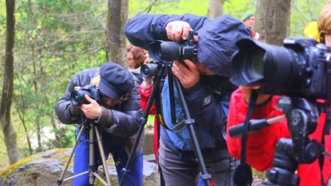 Yığılca'da Doğa Yürüyüşü Etkinliği