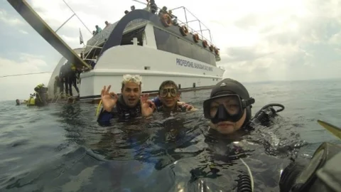 Ayvalık'ta Dalış Sezonu Başladı