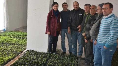 Kars'ta Parklar Renkleniyor