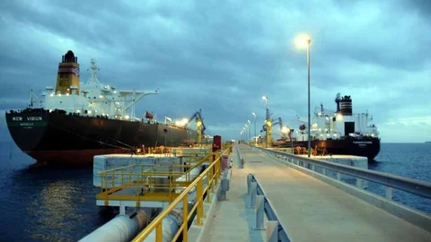 Adana'da Jurong Adası Modeli Gelişiyor