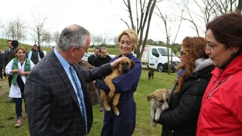 Eyüp'te Sahipsiz Hayvanlara Destek