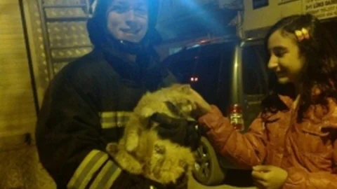 Eskişehir'de Kedi Kurtarma Eylemi