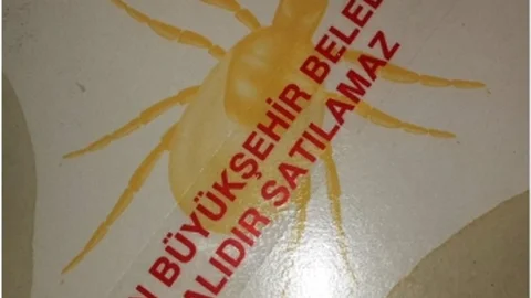 Samsun'da Kene İlaçlama Çalışmaları Başladı