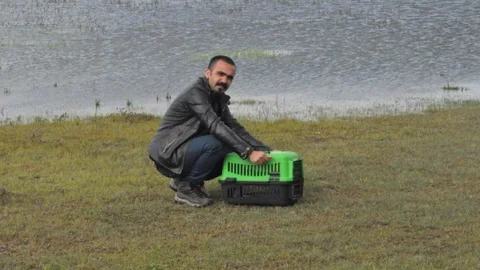 Hakkari'de Bulunan Balıkçıl Kuşu Doğaya Salındı