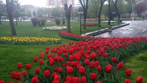 Kayseri'de Bahar Renkleri Açtı