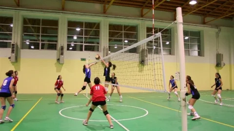 Kocaeli'de Voleybol Festivali Yapılacak