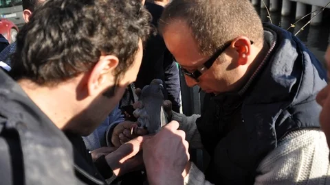 Zonguldak'ta Güvercin Kurtarma Operasyonu