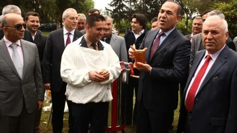 Adana'da İlk Narenciye Balı Açık Artırmaya Çıktı