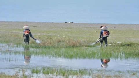 Tuşba'da Sivrisinekle Mücadele Başlatıldı