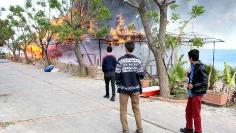 Konyaaltı'nda Kamelyalar Yandı