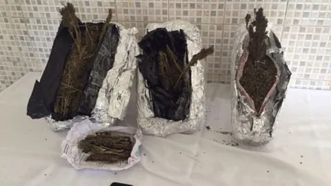 Manavgat'ta Uyuşturucu Operasyonu