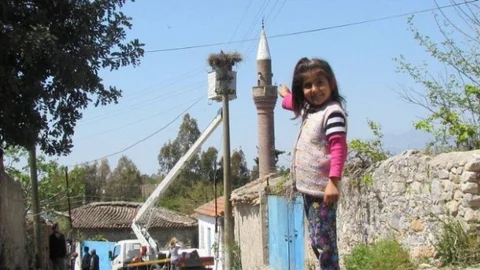 Büyük Menderes Havzasında Leylek Sayımı Yapıldı