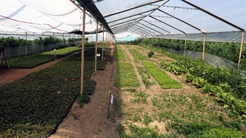 Aydın'da 30 Bin Fide Dağıtımı Yapılacak