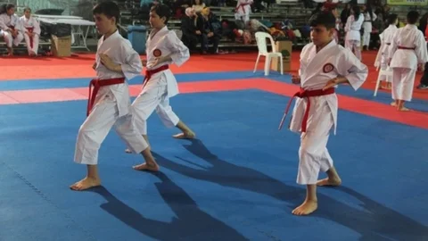 Kocaeli'de Çocuk Karate Turnuvası Başladı