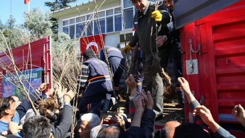Eskişehir'de Meyve Fidanı Dağıtımı