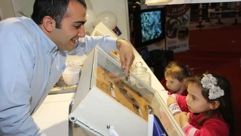 Kocaeli'de Sokak Hayvanlarına Sevgi Aşılanıyor