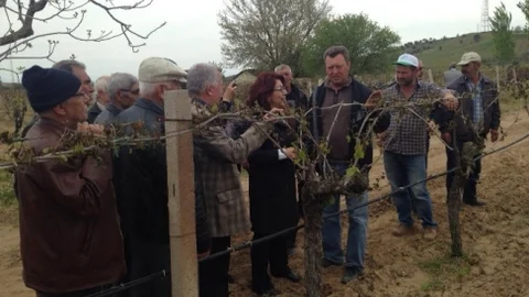 Manisa'da Dondan Zarar Gören Çiftçiler Ziyaret Edildi