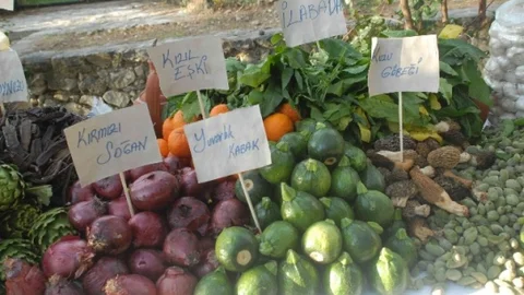 Fethiye'de Ot Festivali Düzenlendi