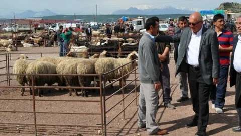 Hasan Subaşı Antalya'da Besicileri Ziyaret Etti