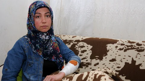 Antalya'da Köpek Saldırısı: 2 Yaralı