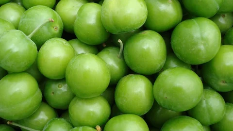 Mersin'de Erik Üretimi Yükselişte