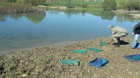 Diyarbakır'da Canlı Kurbağa Ele Geçirildi