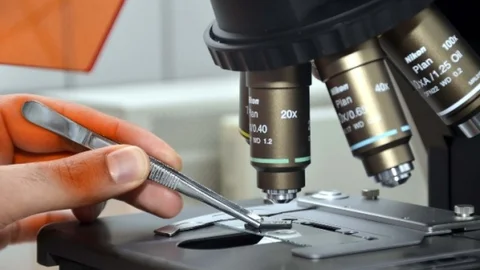 Abdullah Gül Üniversitesi'nde Biyoçip Geliştirme Projesi