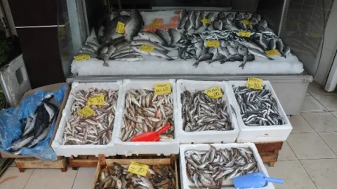 Akçakoca'da Balık Fiyatları Yükseldi